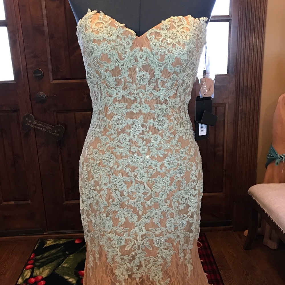 TERANI Lace Illusion Dress NWT - Picture 2 of 7